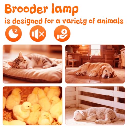 Large Chicken Coop Heat Lamp with 250w Infrared Heat Bulb | Adjust 2 Mode Temperature&Hanging Height,Aluminum Reflector for Coop Brooder,Cat,Puppy,Lamb