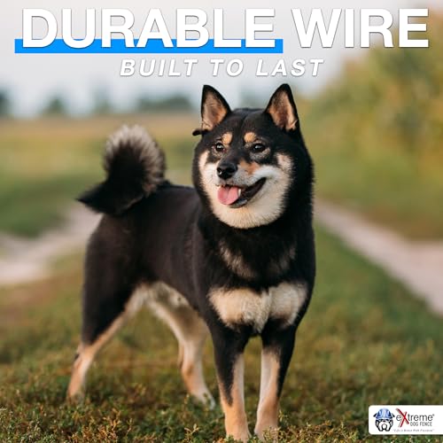Underground Electric Dog Fence Kit, Pro Grade, 1-Dog, 1000 ft | Complete DIY system: digital transmitter, waterproof receiver(s), boundary + twisted wire, training flags, splices, staples - size: 1000 ft
