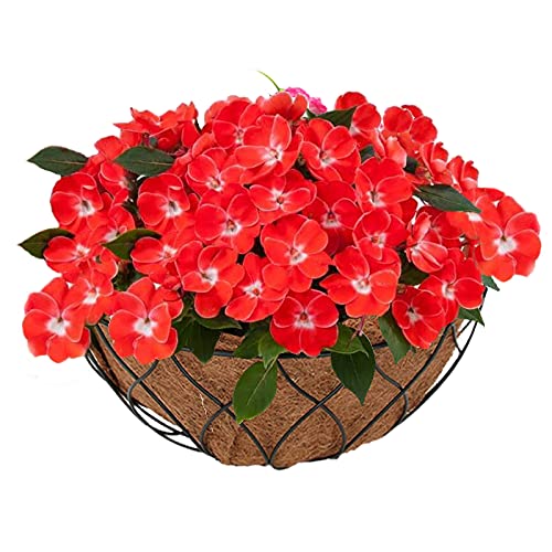 Coconut Hanging Basket Liners, 24 inch Foldable Coco Fiber Pads for 16/14/12 inch Hanging Planter Basket, Natural Coco Planter Basket Liners Replacement for Flowers/Vegetables (Round) - color: 24inch-round