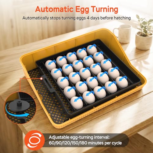 25 Eggs Incubator, Incubators for Hatching Eggs, with Temperature & Humidity Control, Automatic Egg Turning, Egg Candler, for Hatching Quail, Chicken, Duck, Goose Eggs
