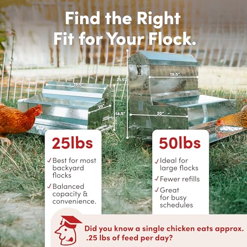 RentACoop Automatic Treadle Chicken Feeder - 25 lb Capacity - style: 25LB Treadle Feeder
