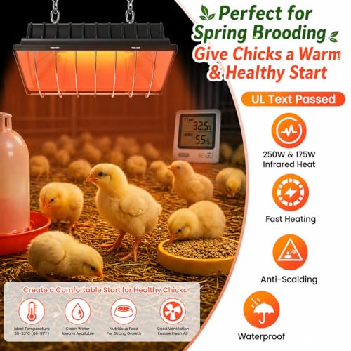 Chicken Brooder Heater for Chicks, Chick Brooder Heat Lamp with 250W & 175W Heating Bulbs, 4 Adjustable Heat Levels for Baby Chicks, Quail, Ducklings & Poultry Brooding