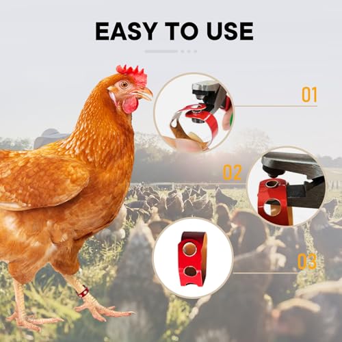 100Pcs Chicken Leg Bands Aluminum Adjustable Poultry Identification Rings | Duck Clip on Leg Rings Chicken Ankle Tags Numbered Feet ID Bands Farms Pheasant Pigeons Goose (Red)
