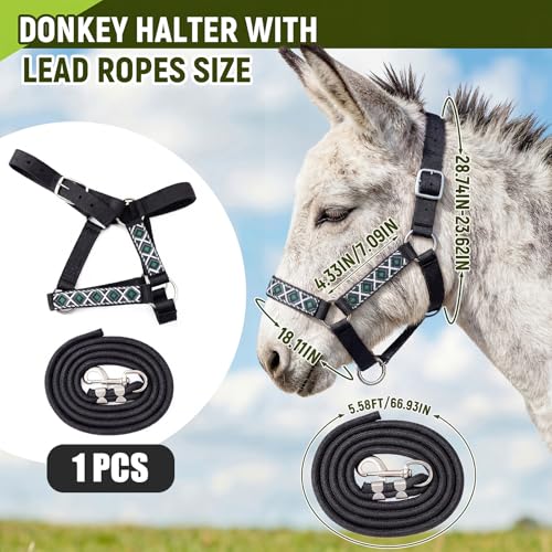 1 Set Mini Donkey Halter with Lead Rope Adjust, Black | Nylon Head Collar, Cute and Stylish, for Miniature Donkey and Small Equines, Farm Ranch Pasture Outdoor, Gingham Plaid Trim - color: Black