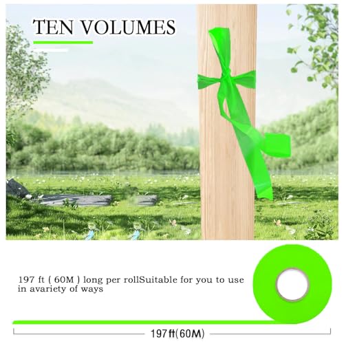 10 Pack Green Flagging Tape, Non-Adhesive Plastic Ribbon Neon Marking Roll | 1inch*2000ft, Marking Tape for Tree Marking, Hunting, Boundaries and Hazardous Areas,Trail Marking - color: Green - 10pack