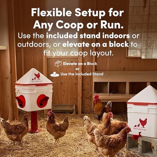 RentACoop Chick2Chicken 10lb Feeder & 2 Gallon Waterer Set - size: Set with Nipples and Auto-Refill Cups