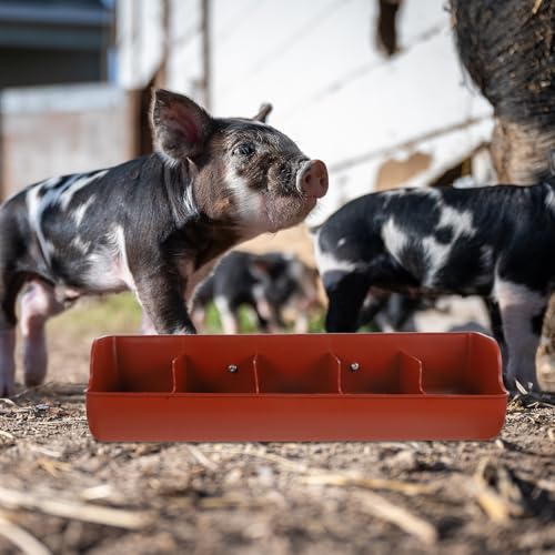 GANAZONO Piglet Feeding Trough Plastic Pig Feeder for Dry Wet Food and Water 5 Slot Pig Trough Feeder Easy Clean Livestock Feeding Tool 21.25 X 7.08 X 5.11 in