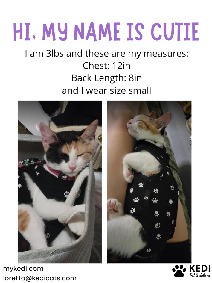 Cat Surgery Recovery Suit Female Cat Onesie for Cats After Surgery Spay Surgical Abdominal Wound Skin Diseases E-Collar Alternative Wear (Black, Medium) (Pack of 2) - color: Black, size: Medium (Pack of 2)