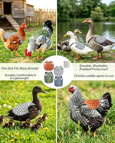 4PCS Chicken Saddle for Hens with 50pcs Chicken Leg Bands (001-050), Chicken Apron Back Protector with Adjustable Straps, Back Protector for Feather Loss & Rooster Mating (4PCS)
