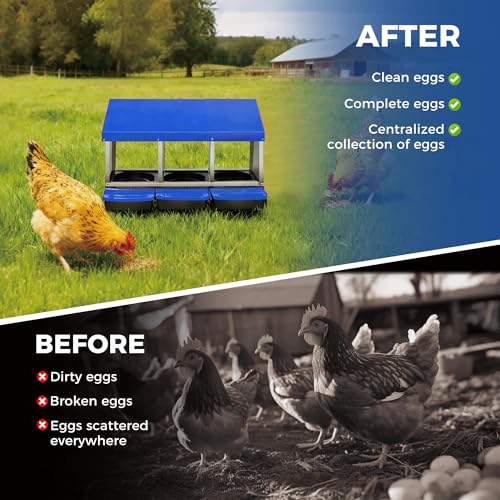 Garvee 3-Hole Roll Away Egg Collection Chicken Nesting Box | Galvanized Steel Nest Box for Laying Eggs - color: Blue, size: 3 holes