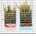 Hamiledyi 2PCS Rabbit Hay Feeders Rack 2 in 1 Feeder Bowls Double Bunny Feed Holder Grass Food Supplies for Chinchillas Guinea Pig Hamsters (Pink+Blue) - color: Blue&Pink