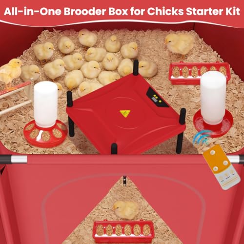 Brooder Box for Chicks, All-in-One Chick Starter Kit, Stainless Steel Frame Baby Chicken Brooder Playpen with Heater, Perch, Feeder & Waterer Set, Up to 30 Chicks, Hexagon Style