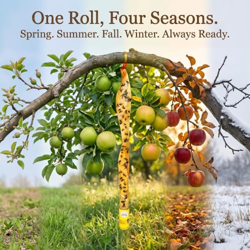 40 Pack Fly Strips Sticky Hanging Fly Trap Indoor Outdoor with Pins | Fly Paper Tape Fruit Fly Gnat Fungus Bug Catcher for Winged Insect & Mosquito for Orchard Farm Home Kitchen - size: 40 pack