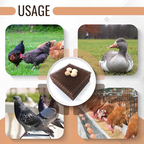 Hen's Choice™ - Chicken Nesting Box Pads x6 | Washable Plastic Nesting Box Liner | Chicken Bedding for Coop - size: 12" x 12" (x6 std)