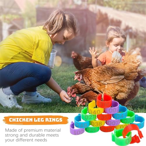 CougZed 100 Pcs Chicken Leg Bands - 16mm Colorful Numbered Chicken Tags for Legs, Poultry Leg Bands for Ducks, Chicks, Goose, Gamefowl, Turkey