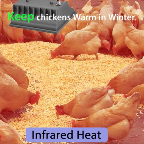 Heat Lamp for Chicken Coop, 250W Waterproof Chicken Coop Heater for Indoor & Outdoor Used, Infrared Heat Lamp with Adjustable Temp & Height, Ideal for Poultry, Livestock & Small Pets