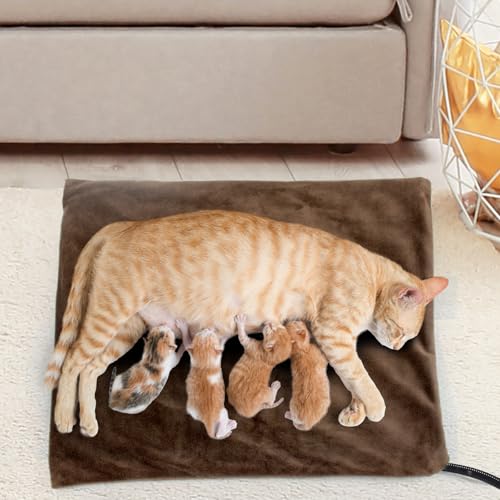 NAMOTEK Pet Heating Pad, Safe Electric Heating Pad for Dogs and Cats Indoor Warming Pad with Auto Constant Temperature 15.7" x 12" - size: 15"x12"
