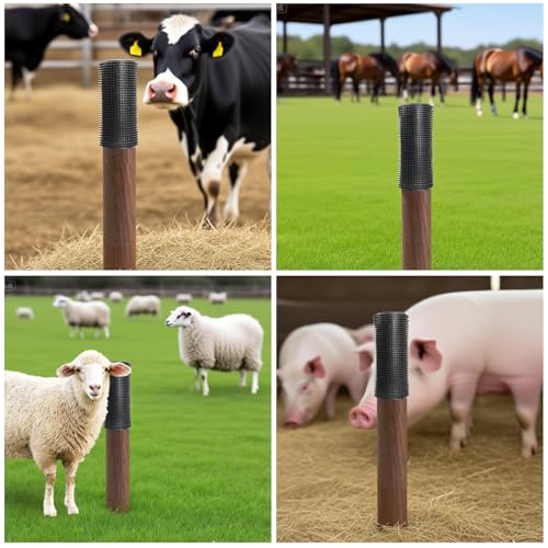3 Pack Horse Scratching Post Pad, 14 x 11.8 Inch PVC Dog Back Scratcher, Livestock Scratching Brush, Horse Brushes Scratch Itch Relief Post Pad for Livestock, Horse Grooming, Cattle, Sheep