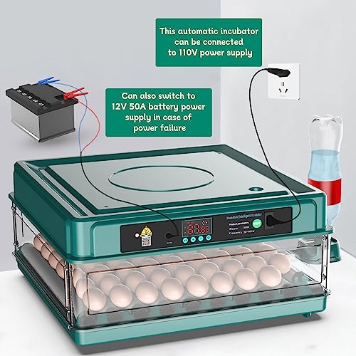 Intelligent Poultry Incubator - 38 Eggs, Automatic Turner & Temperature Control for Hatching Chicken, Quail, Bird & Duck Eggs