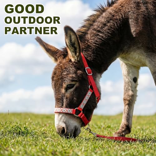 1 Set Mini Donkey Halter with Lead Rope Adjust, Red | Nylon Head Collar, Cute and Stylish, for Miniature Donkey and Small Equines, Farm Ranch Pasture Outdoor, Gingham Plaid Trim - color: Red