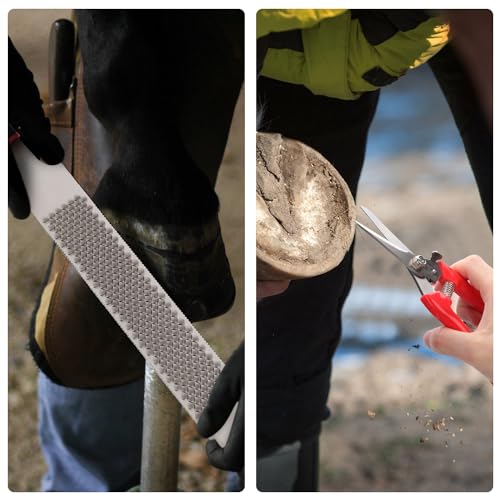PEUTIER 3pcs Goat Hoof Trimmers and File, Nail Clippers for Goats Hoof Nippers Curved/Straight Head Sheep Hoof Trimming Shears Hoof Rasp Horseshoe File for Goat Sheep Lamb Pig Animal Hooves (Red)