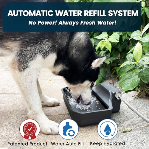 PETIMI Automatic Dog Water Dispenser, 1 Gallon Auto-Fill Dog Water Bowl Dispenser for Indoor/Outdoor, Large Water Feeder for Pets & Livestock, Fits GHT 3/4" Faucet, BPA Free, Easy to Clean, Gray - color: Gray