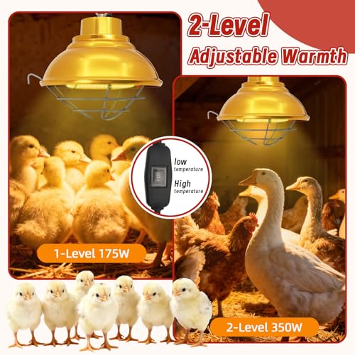 Dual Watt Heat Lamp for Chickens, Carbon Fiber Bulb (175/350W) | Chicken Coop Heater, 2 Temperature Adjustable, Hanging Heat Lamp for Chicks, Pets and Poultry