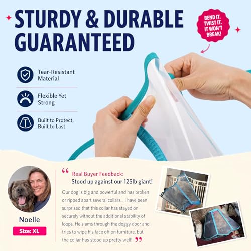 Soft Neck Pad - Hard Plastic Dog Surgery Recovery Cone Collar, Blue-Green M | Clear Vision Cone for Dogs to Stop Licking, Comfy Dog Head Cones of Shame for Medium Dogs, Extra Long Elizabethan Collar - color: Blue-Green, size: Medium