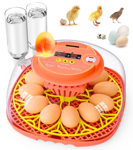 12 Egg Incubator for Hatching Eggs, Smart Temperature and Humidity Control, Automatic Egg Turning, Incubator for Hatching Chicken, Quail, Duck Eggs, 360° Clear View for Home, Classroom, Farm