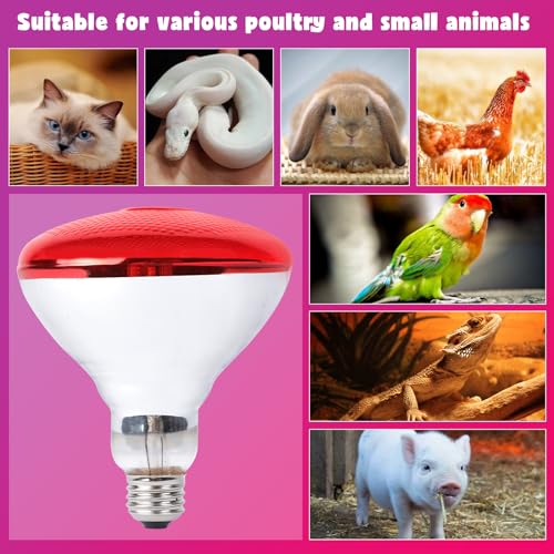 LUCKY HERP Infrared Heat Lamp for Chickens, 250 Watt Red Heat Lamp Bulb, 2 Pack Heat Light Bulb, Brooder Heat Lamp for Chicks Coop, Reptiles, Amphibian, Pet, Food Service - style: 250W Heat Lamp 2 PACK