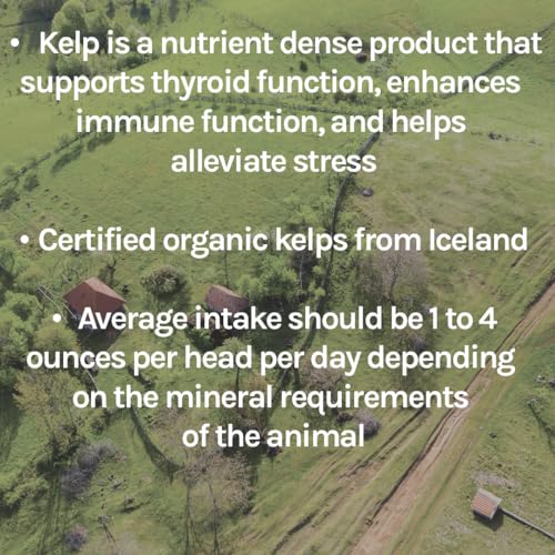 New Country Organics | Healthy Sheep Kelp Based Minerals for Sheep | Certified Organic and Non-GMO | 40 lbs