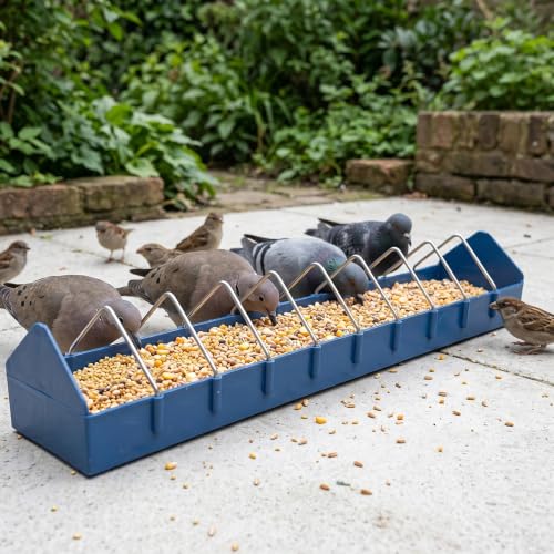 4 Pack Large Size Pigeon Feeder 11 Slot Plastic Thick Container Trough Dish Food Dispenser Less Waste with Removable Steel Wires for Pigeons Quails Birds Chicks Ducklings Poultry (Length, 23.6 inches)