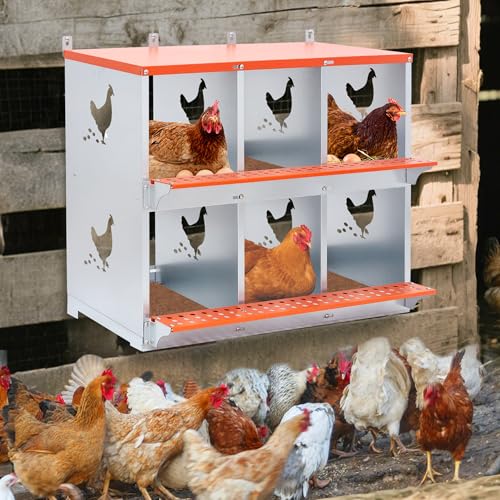6 Compartment Galvanized Steel Nesting Box Wall Mount | Galvanized Steel Rustproof & Weather Resistant|Vented Design Keeps Interior Dry & Odor Free|Tool-Free Assembly - size: 31.8"L x 17.0"W x 25.0"H