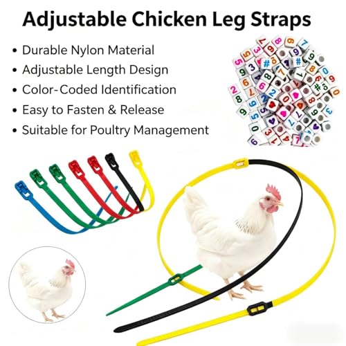 100PCS 6 Colors Chicken Leg Bands with Alphabet Number Beads for Duck Goose Farm Animal Tagging