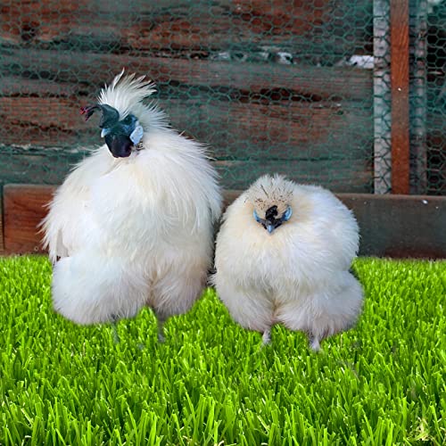 8 Pack Washable Chicken Nesting Box Pads for Laying Eggs, Artificial Grass Nesting Pads for Chicken Coop, Nesting Box Liners Bedding for Hen Lawn Indoor Outdoor - 12"x12"1.2"