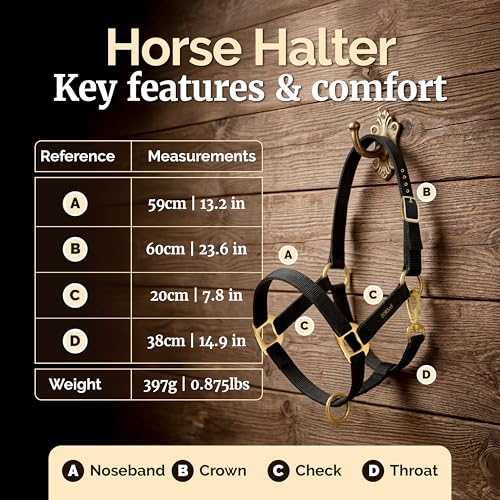 Black Nylon Horse Halter – Non Adjustable – Durable Horse Tack for Everyday Use – Stylish Horse Stuff – Perfect for Horse Lovers.
