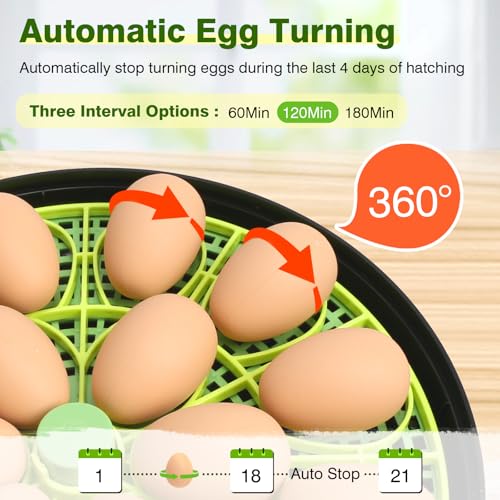 18 Egg Incubators for Hatching Eggs, Egg Incubator with Temperature Control, Humidity Display, Auto Egg Turner, Egg Candler, 2 Size Egg Trays, Digital Incubator for Chicken, Duck, Quail Eggs
