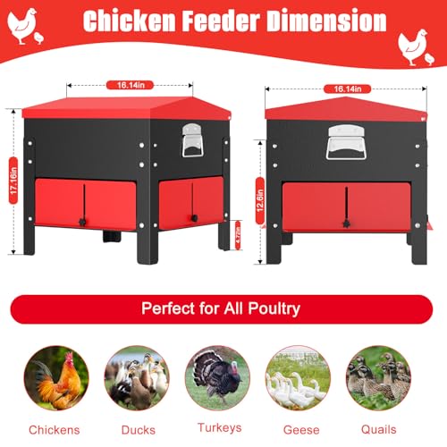 Portable Metal Chicken Feeder, Freestanding Chicken Feeder with Top-Sloped Waterproof Lid, No Waste Gravity Poultry Feeder for Hens and Ducks, 80 lbs Large Capacity