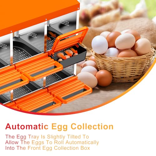 Chicken Nesting Boxes, Roll Away Nest Box for Egg Collector, 6 Holes Orange | Metal Nesting Box for Laying Eggs with Lid Cover to Protect Eggs, Easy Wipe, Slide Out for Quick Bedding Change and Rinse - size: 6 Holes