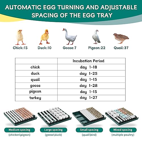 Intelligent Poultry Incubator - 38 Eggs, Automatic Turner & Temperature Control for Hatching Chicken, Quail, Bird & Duck Eggs