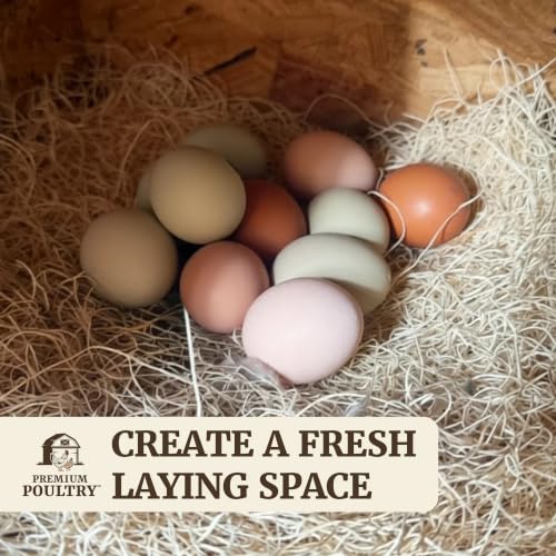 Aspen Chicken Nesting Pads, 13" x 13", 20 Pack, Made in USA | Trim-to-Fit Nest Box Liners for Chicken Coop, Excelsior Fiber, Moisture Absorbent, Cleaner Eggs & Easy Cleanup