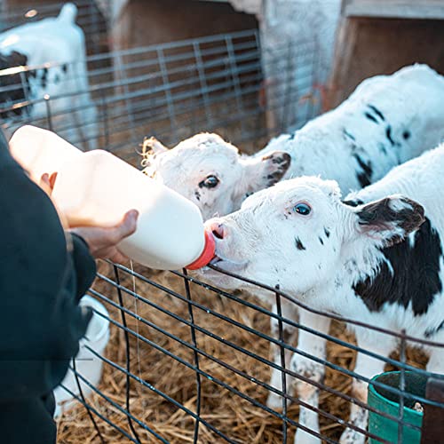 Calf Bottle with a Replacement Nipple 2.11 Quart Milk Feeder Nursing Feeding Bottle
