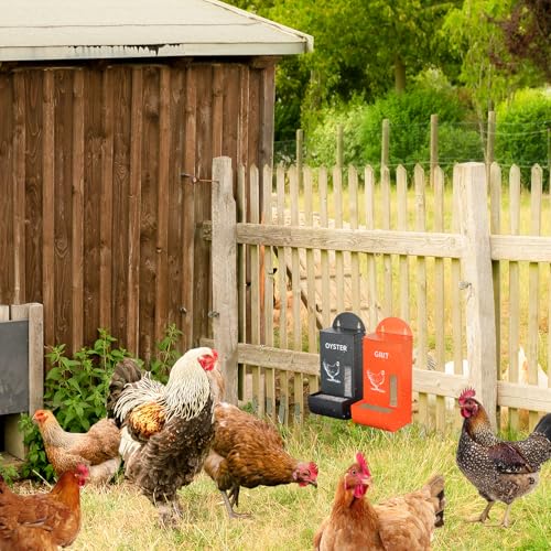 Chicken Grit Oyster Shell Feeder Poultry Hanging Gravity 2 Pack - color: Red&Green