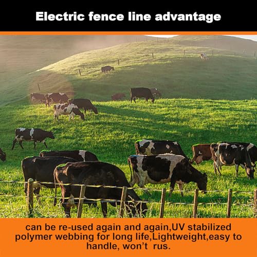 Electric Fence Polywire, 3366Ft/1026M, 1/8" Dia, Portable Wire | Upgraded polywire,Built with 6 stainless steel strands ,easy to roll up and carry for farm livestock fencing - size: 3366Ft/1026M