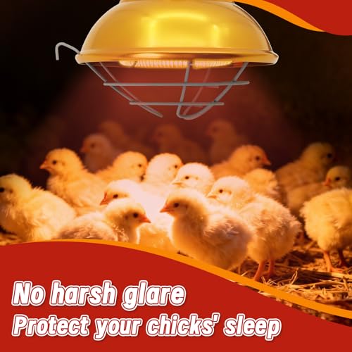 Dual Watt Heat Lamp for Chickens, Carbon Fiber Bulb (175/350W) | Chicken Coop Heater, 2 Temperature Adjustable, Hanging Heat Lamp for Chicks, Pets and Poultry