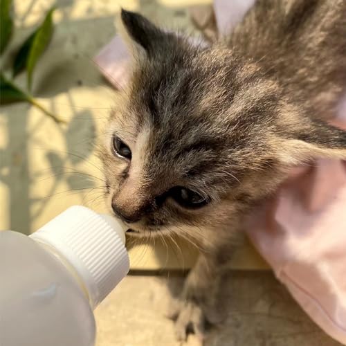 CYG&CL 14 Pack Pet Nursing Feeding Kit Pet Feeding Syringe for Cats Nipple for Kittens Nipple for Puppies Kitten Bottle Feeding Kit for Newborn Squirrels, Rabbits, Small Animals and Wildlife