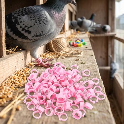 AYNEFY Pigeon Leg Rings,100Pcs / Bag 8mm 001-100 Numbered Letter Bird Leg Bands Pigeon Foot Rings Chick Leg Tags for Bird Ducks Chicken Pigeons Goose Poultry