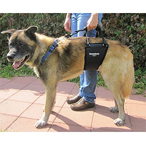 GINGERLEAD Dog Support Harness, Rear End Lift Sling, Tall Male, Made in USA | Fits Tall, Lean Dogs like Greyhounds or Great Danes, Padded Mobility Aid, Help Pets Walk or Balance, Machine Wash & Dry - size: Tall - Male