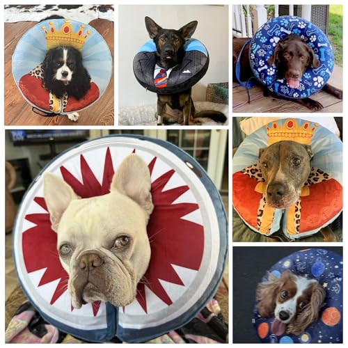 SCENEREAL Dog Cone Alternative After Surgery for Large Medium Small Dogs | Inflatable Cone Collar for Dogs Cats, Adjustable Soft Recovery Donut Collar to Prevent Licking, Shark Print E-Collars - color: Blue Shark, size: XL(Neck 18"-21")