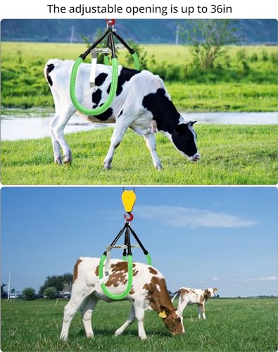QWORK Cow Hip Lift, Heavy-Duty Cattle Lifter - Steel Cow Lift with Adjustable Pitch, Triangular Support Stand Up Assist Tool for Calving Milking Birthing Dystocia and Recovery Aid - 2204lb Capacity